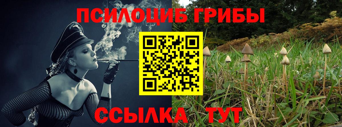 Елизово  Псилоцибиновые грибы Psilocybe  Вход с VPN  Галлюциногенные грибы MAGIC MUSHROOMS 